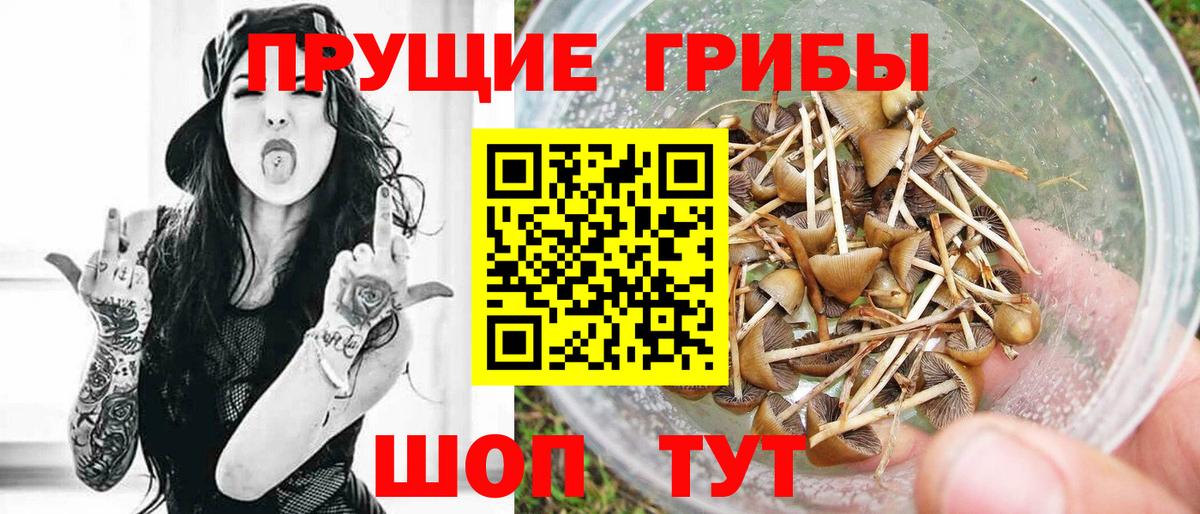 Галлюциногенные грибы прущие грибы  Псилоцибиновые грибы ЛСД  Вход с VPN  Протвино 